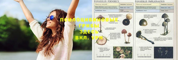 амф Михайловка