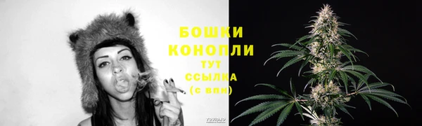винт Надым