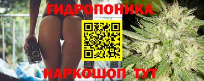 каннабис Волжский