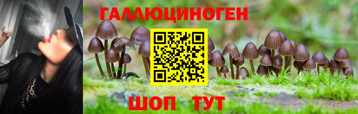 Псилоцибиновые грибы мухоморы  Псилоцибиновые грибы Magic Shrooms  Луга  Вход с VPN 